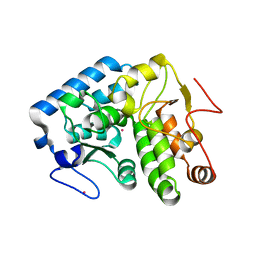 Molmil generated image of 4etl