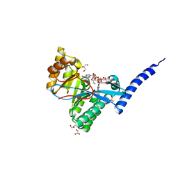 Molmil generated image of 4fok