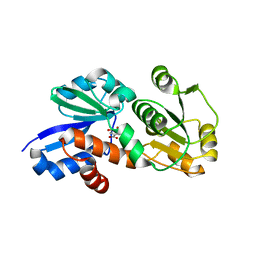 Molmil generated image of 4fr5