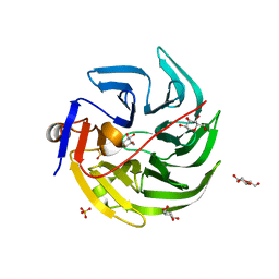 Molmil generated image of 4gn8