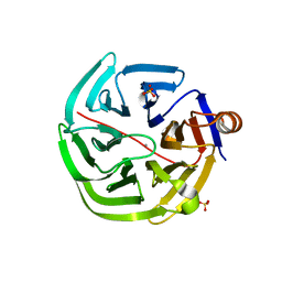 Molmil generated image of 4gn9