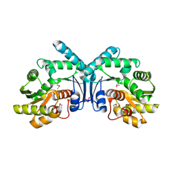 Molmil generated image of 4ix1