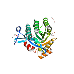 Molmil generated image of 4kie