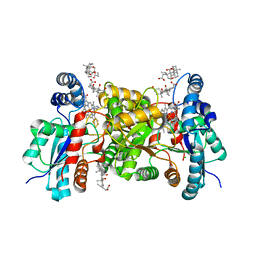 Molmil generated image of 4klr