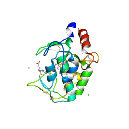 Molmil generated image of 4kn0