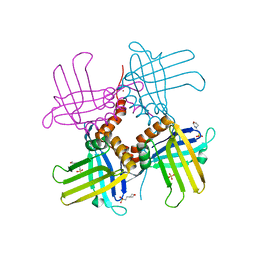 Molmil generated image of 4koo