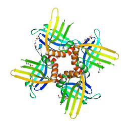 Molmil generated image of 4kop