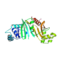 Molmil generated image of 4l4w