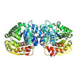 Molmil generated image of 4lbx
