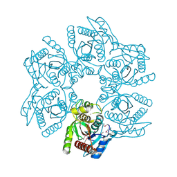 Molmil generated image of 4lkr
