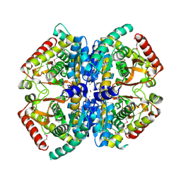Molmil generated image of 4ln1