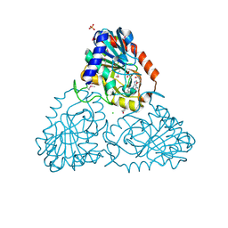 Molmil generated image of 4lna