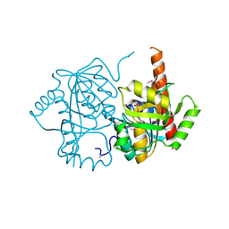 Molmil generated image of 4lnh