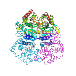Molmil generated image of 4m1q