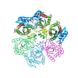 Molmil generated image of 4mar