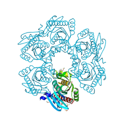 Molmil generated image of 4mch