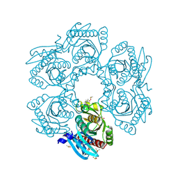 Molmil generated image of 4mci