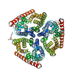 Molmil generated image of 4nh2