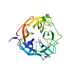 Molmil generated image of 4nov