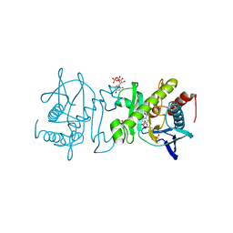 Molmil generated image of 4o7r