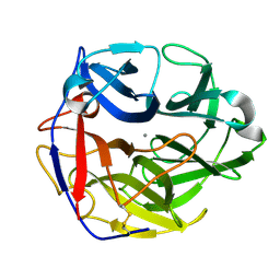 Molmil generated image of 4o8o