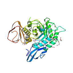 Molmil generated image of 4ogz