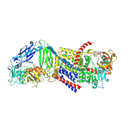 Molmil generated image of 4p02
