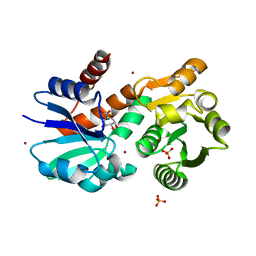 Molmil generated image of 4p4g