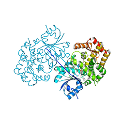 Molmil generated image of 4p53