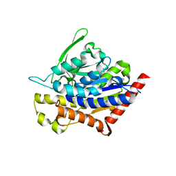 Molmil generated image of 4pk9