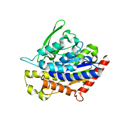 Molmil generated image of 4pka