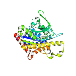 Molmil generated image of 4pkb