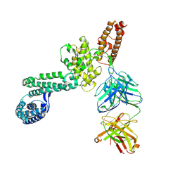 Molmil generated image of 4qex