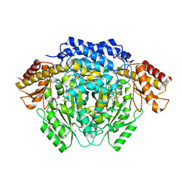 Molmil generated image of 4riz