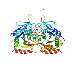 Molmil generated image of 4ryu