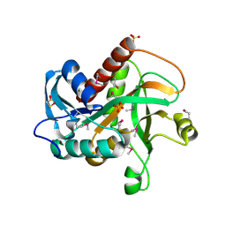 Molmil generated image of 4tym