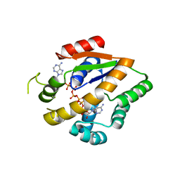 Molmil generated image of 4typ