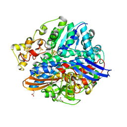 Molmil generated image of 4ue6