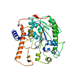 Molmil generated image of 4uor