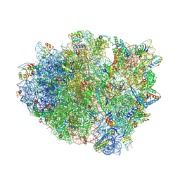 Molmil generated image of 4v8c