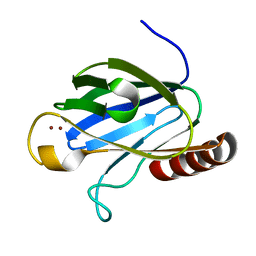 Molmil generated image of 4w9z