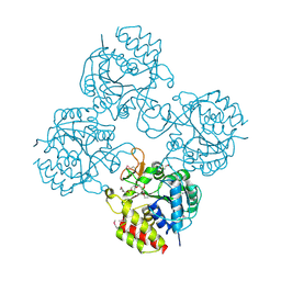 Molmil generated image of 4wr2