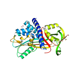 Molmil generated image of 4y40