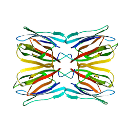 Molmil generated image of 5bn6