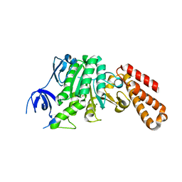 Molmil generated image of 5bo5