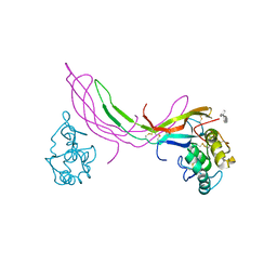 Molmil generated image of 5bqc