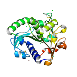 Molmil generated image of 5ch8