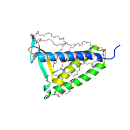 Molmil generated image of 5dir