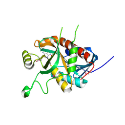 Molmil generated image of 5dk6