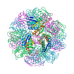 Molmil generated image of 5dnx